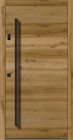 Haustür Altholz H401 2E