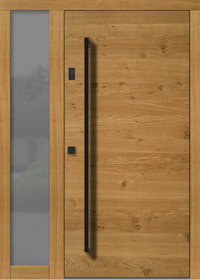 Haustür Modern H101