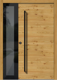 Haustür Modern H101